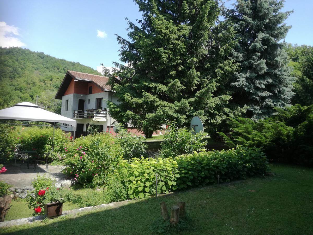 Apartment Dedine Голубац Экстерьер фото