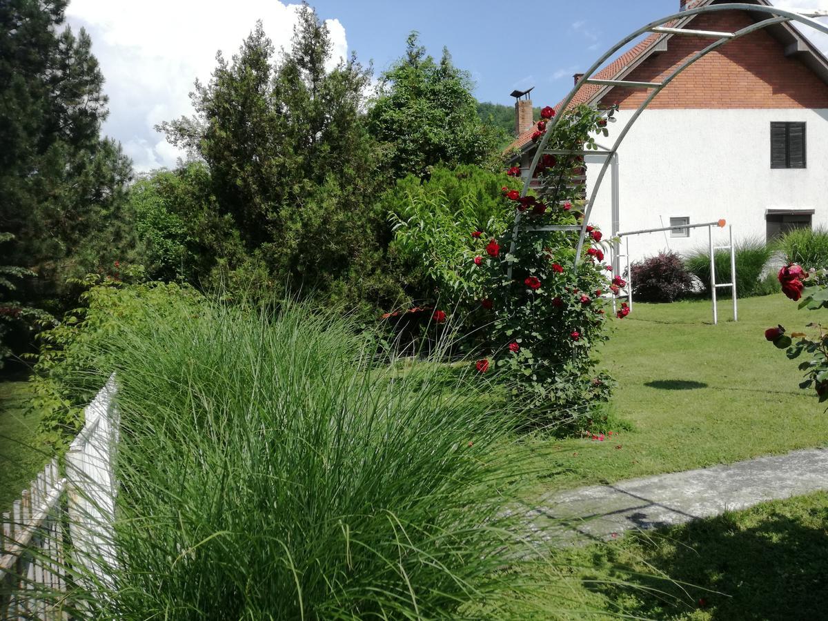 Apartment Dedine Голубац Экстерьер фото