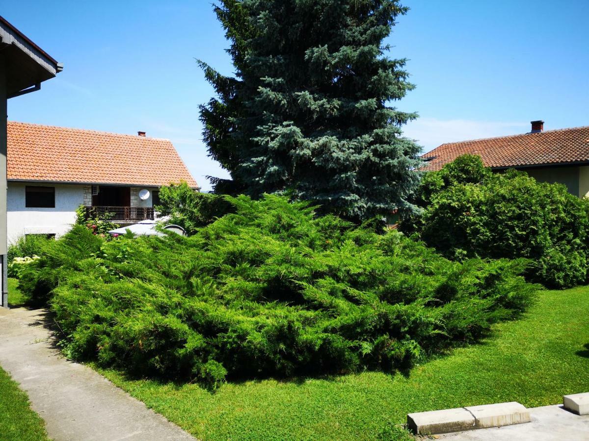 Apartment Dedine Голубац Экстерьер фото